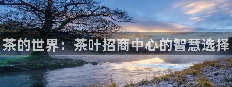 龙八国际游戏下载