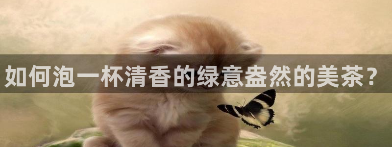 龙八国际 我的