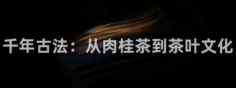 龙八国际官网入口