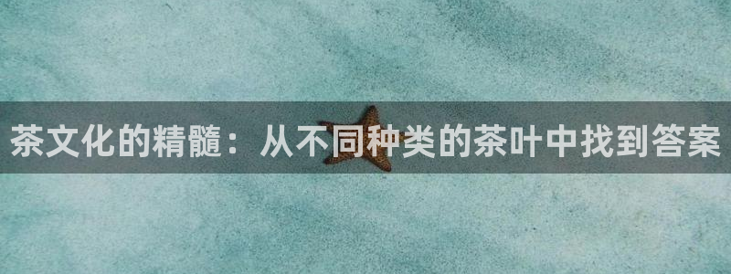 龙八国际安全吗