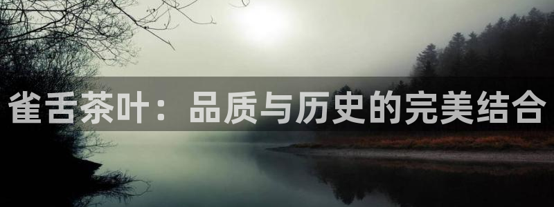 龙八国际客户端下载安卓