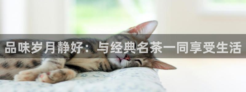 龙八国际官网进入