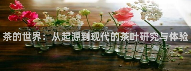 龙 八国际