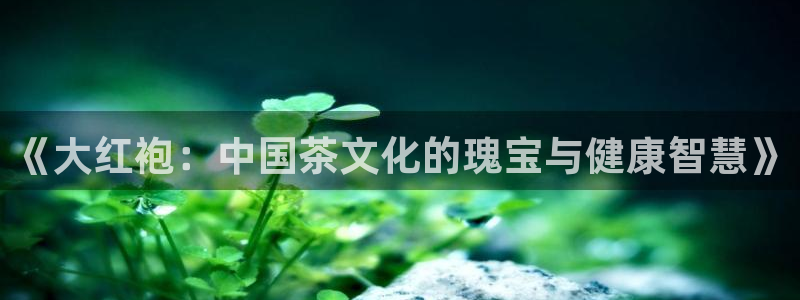 龙八国际app首页