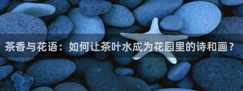 龙八国际娱乐地