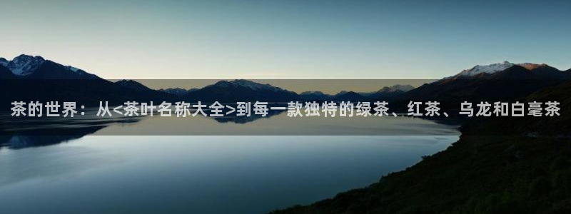 龙八国际官首页