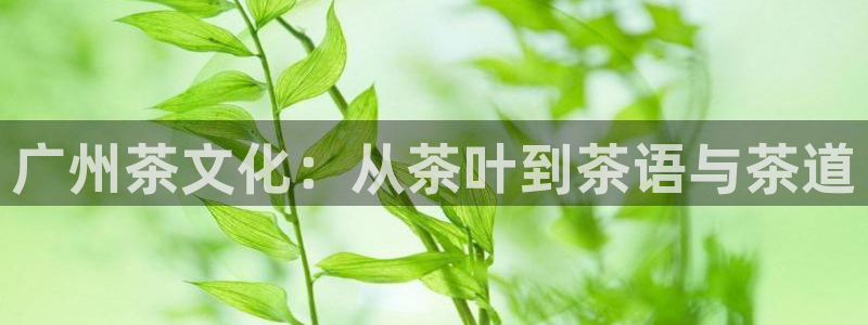 龙八国际娱乐游戏