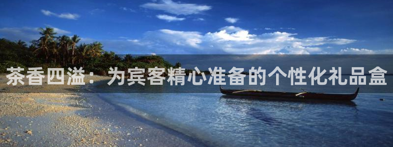 龙八国际