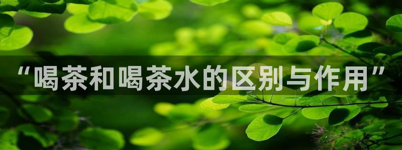龙八国际游乐城