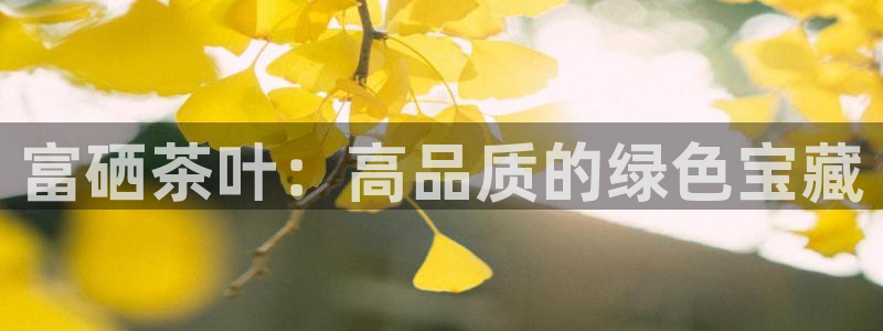 龙八国际客户端下载苹果
