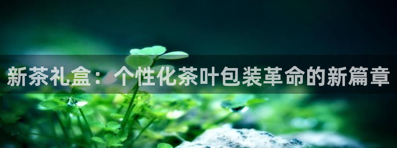 龙八国际怎么样