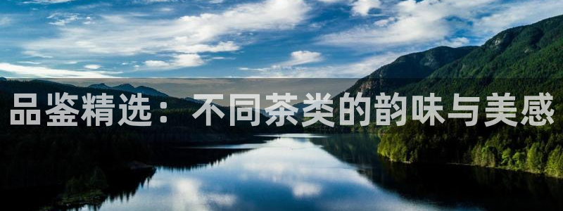 龙八国际app客户端下载不了