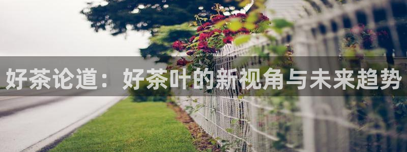 龙八国际客户端下载官网