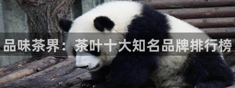 龙八国际娱乐app