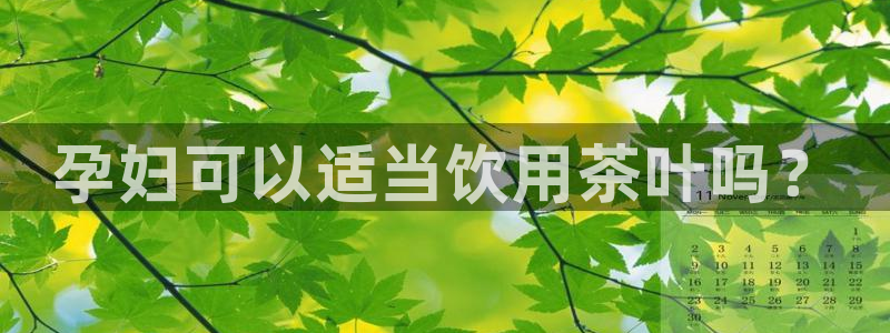 龙八国际手机下载