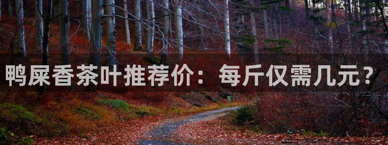 龙八国际有没有假