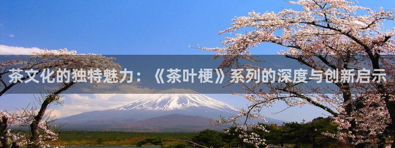 龙八国际娱乐dt 和老虎机