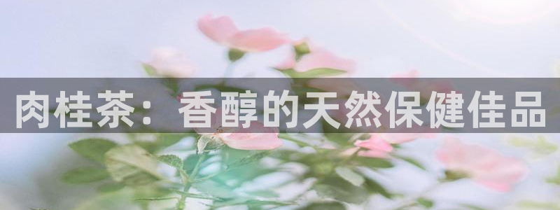 龙八国际app客户端经济区