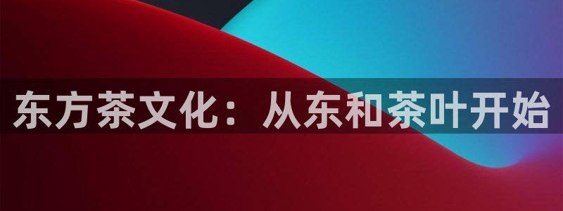 龙八国际优惠