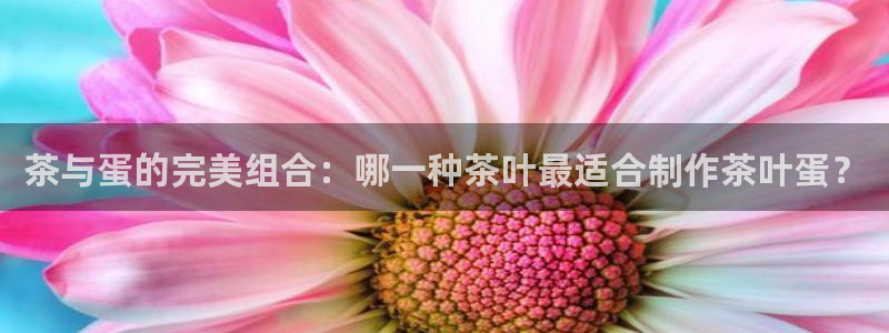 龙八国际优惠券