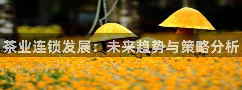 龙八国际客户端下载安卓