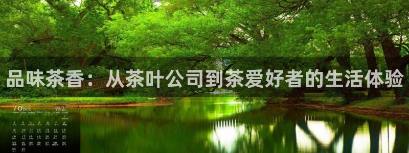 龙八国际链接