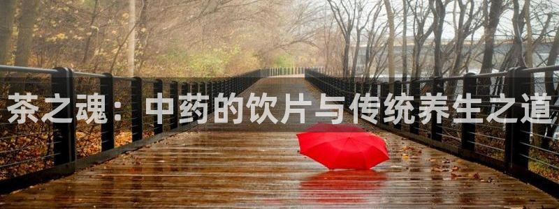 龙八国际pt娱乐老虎机