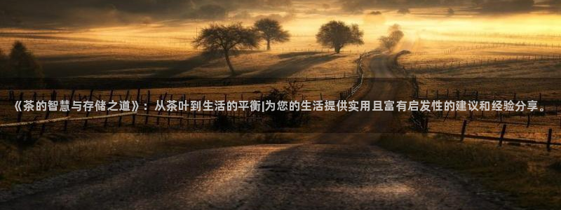 龙八国际技巧