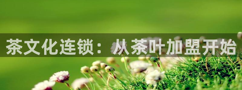 打开龙八国际