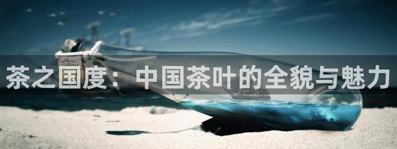 菲律宾的龙八国际