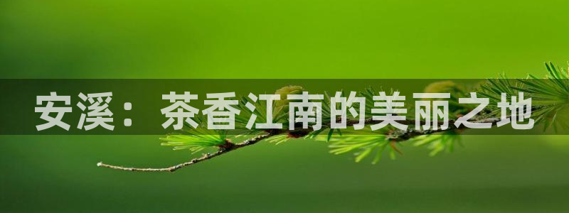 龙八国际app骗局