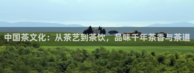 龙八国际网页版