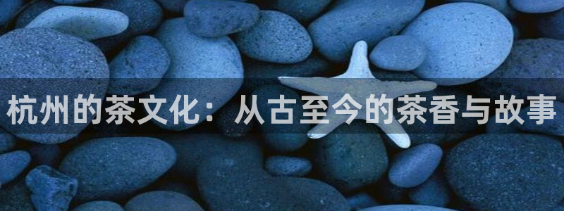 龙八国际害死多少人