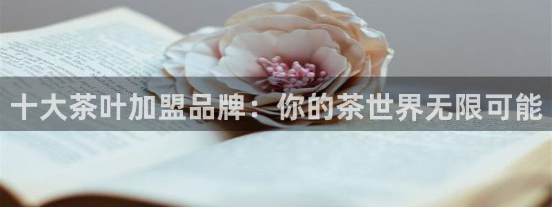 龙八国际相仿平台