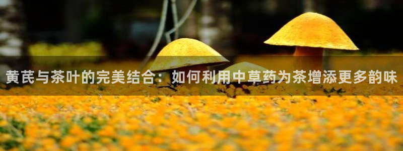 龙八国际官网安卓