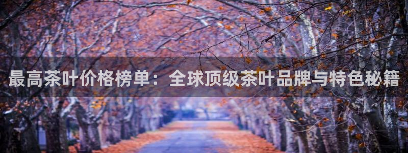 龙八国际官方网址