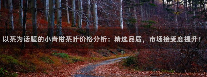 龙八国际是什么