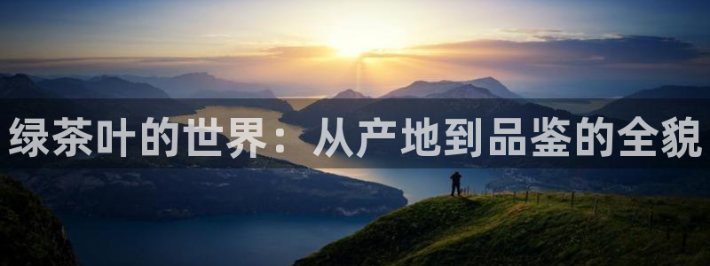 龙八国际官首页