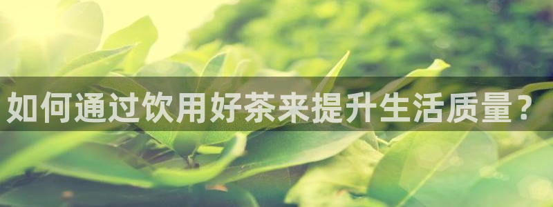 龙八国际app电话