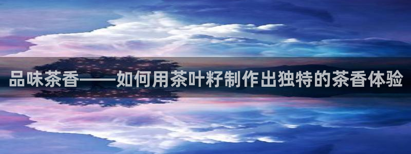 龙八国际网