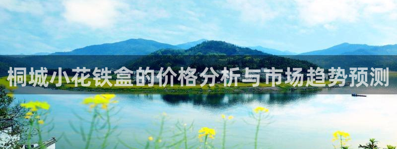龙八国际 官网