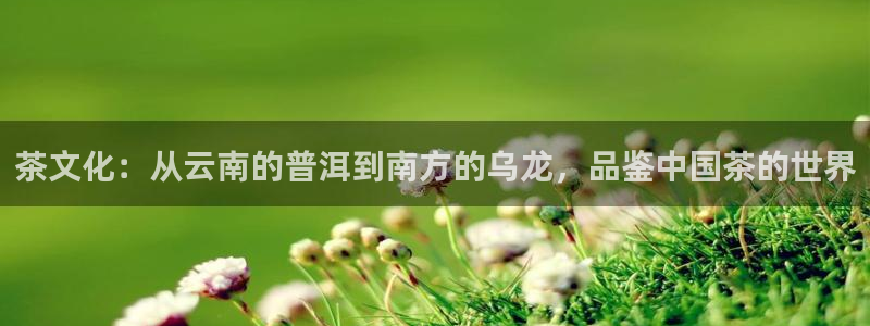 龙八国际官网app下载