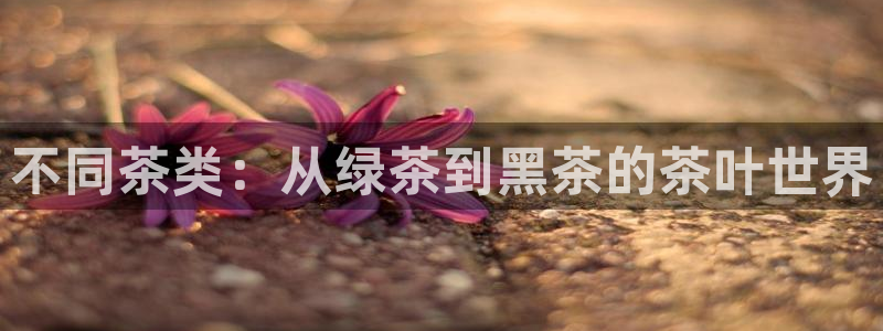 龙八国际黑钱