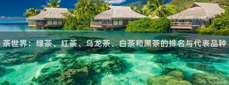 龙八国际mg老虎机