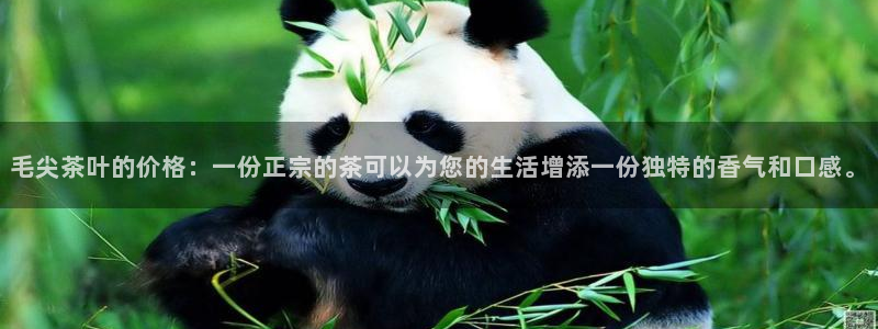 石家庄龙八国际老板是谁