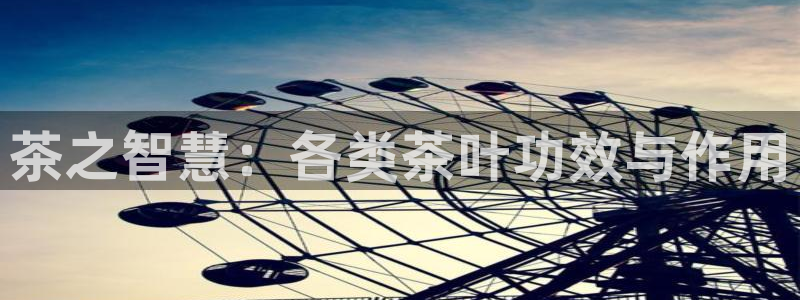 龙八国际app客户端下载苹果