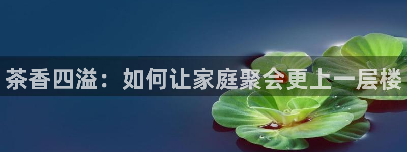 龙八国际这个平台在哪里