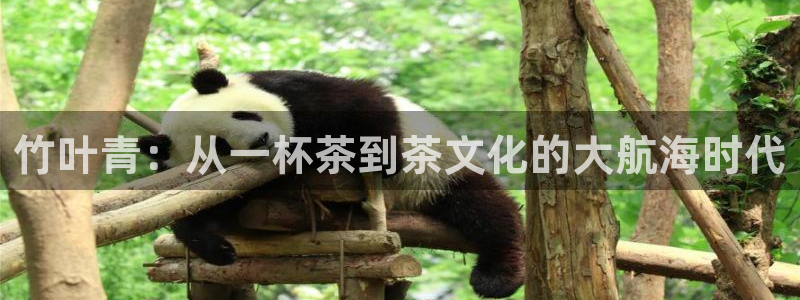 龙八国际服官网下载