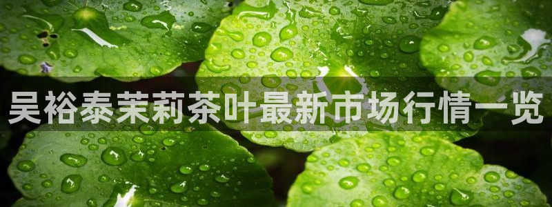 龙八国际下载官网平台