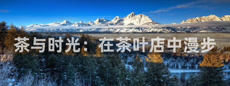 龙八国际在线下载